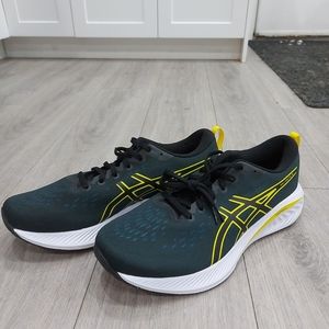 Asics Gel-Excite 10 mens running shoe